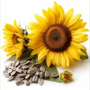 Sunflower Seeds